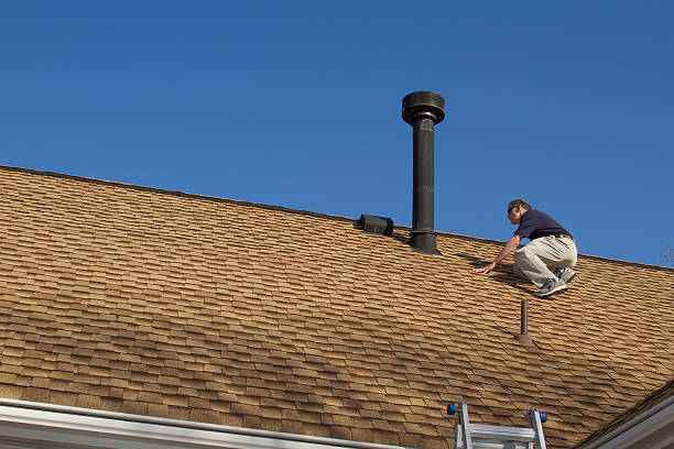 Best Roof Maintenance and Cleaning  in Bemiss, GA